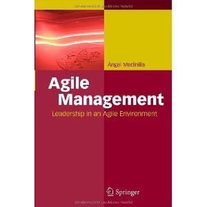 /agile-management-medinilla