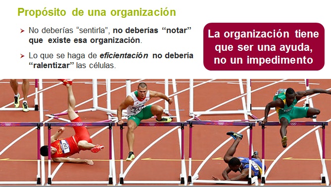 CAS2014-05-proposito-organizacion