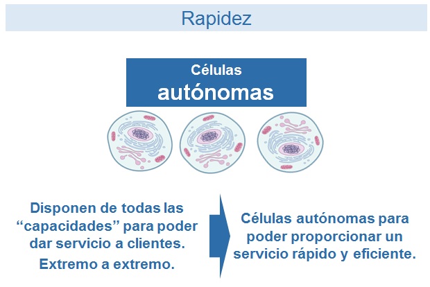 celulas-autonomas