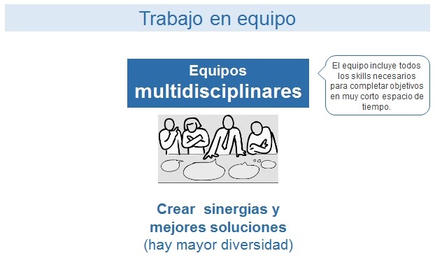 equipos-multi-disciplinares