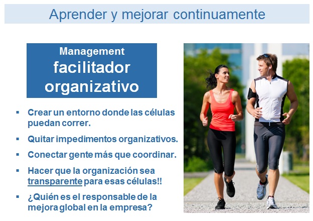 manager-facilitador-organizativo