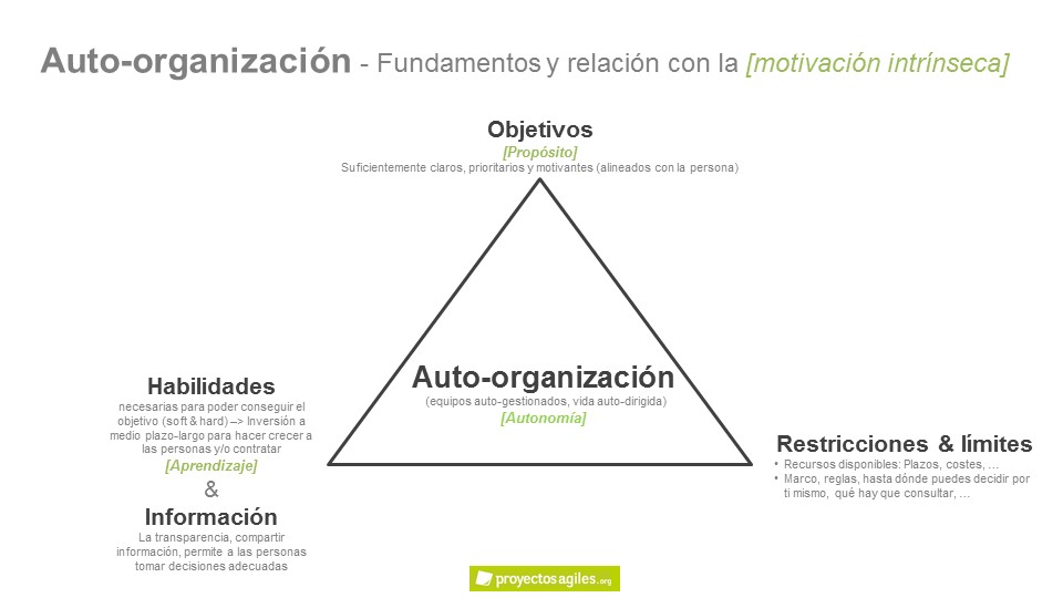 Auto-organización - self-management