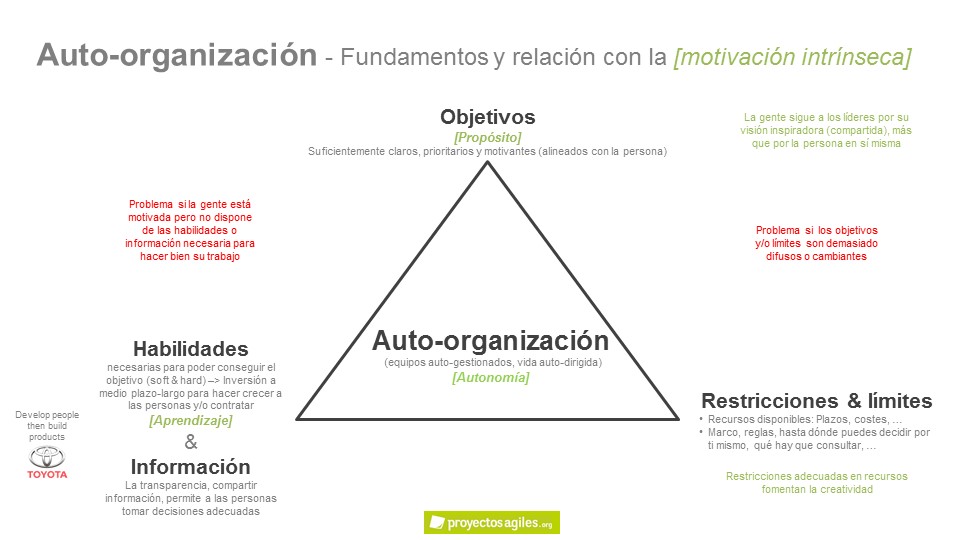 Auto-organización - Factores negativos
